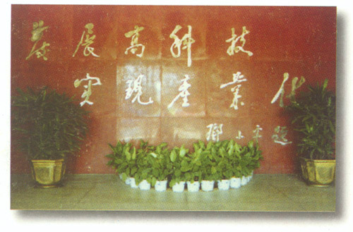 == �������ŵ��� ==